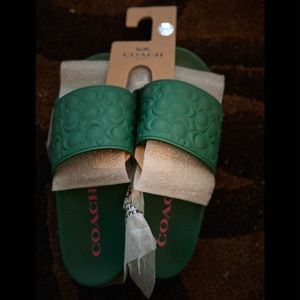 Signature Coach Slides